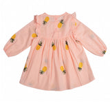 Baby Pineapple Dress - Slim Wallet Company