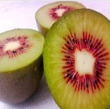 Kiwi fruit seeds - 100 pcs - Slim Wallet Company