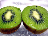 Kiwi fruit seeds - 100 pcs - Slim Wallet Company