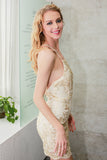 Lace Off Shoulder Halter summer dress women hollow out Beach sexy dress - Slim Wallet Company