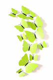 Butterfly 3D Wall Stickers - 12 Pieces - Slim Wallet Company
