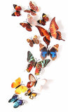 Butterfly 3D Wall Stickers - 12 Pieces - Slim Wallet Company
