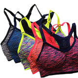 Multi-Color Padded Quick Dry Sports Bra, Wirefree and Adjustable - Slim Wallet Company