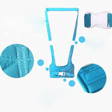 The Baby Walker - Slim Wallet Company