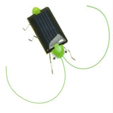 Solar Powered Grasshopper - Slim Wallet Company