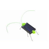 Solar Powered Grasshopper - Slim Wallet Company
