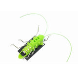 Solar Powered Grasshopper - Slim Wallet Company