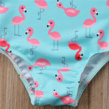Mini Flamingo Swimsuit - Slim Wallet Company
