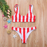Beach Ball Bikini - Slim Wallet Company