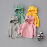 Baby Bunny Bear Hoodie - Slim Wallet Company