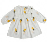 Baby Pineapple Dress - Slim Wallet Company
