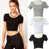 Show Crop Top - Slim Wallet Company